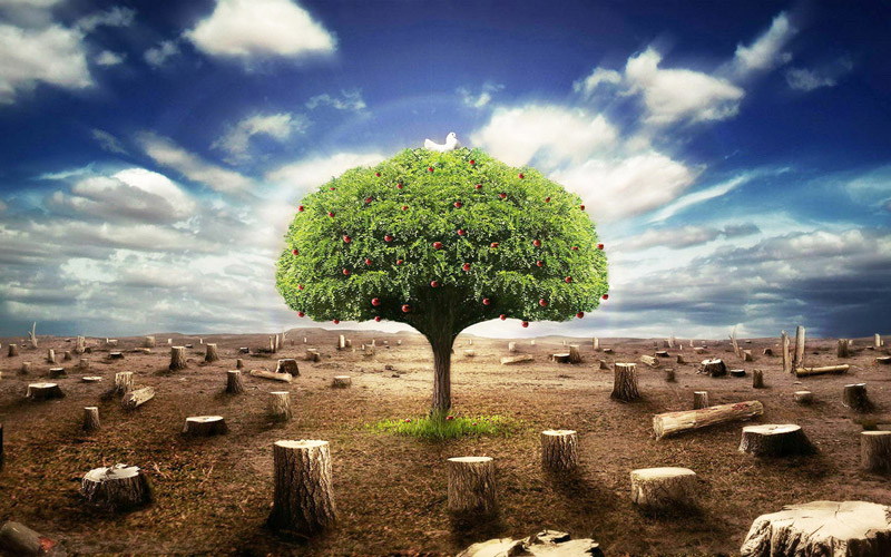 操作臺環(huán)?？刂剖疽鈭D